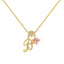 "Amelie" Cursive Letter Charm Necklace