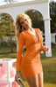 Zyvoria | Long Sleeve Ruched Bodycon Mini Dress