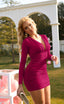 Zyvoria | Long Sleeve Ruched Bodycon Mini Dress
