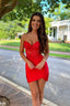 Eliza | Corset Lace Mini Dress
